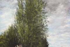 1_C11