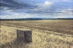 2_AGCAM1