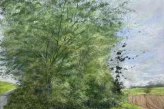 C18