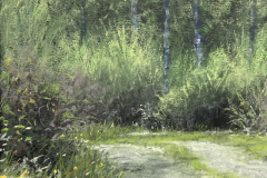 ag-campagne-chemin