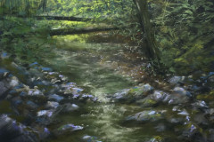 AG_RIVIERE_001