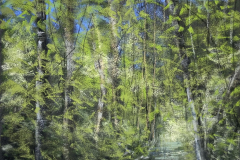 ag-riviere-bois