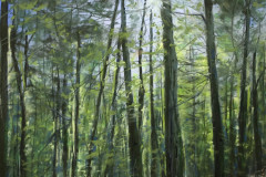 AG_FORET_005