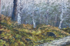 1_AG_FORET_013