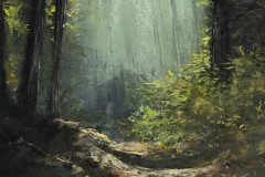 AG_FORET_002