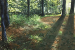 AG_FORET_008