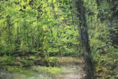 AG_FORET_009