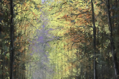 AG_FORET_001