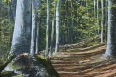 AG_FORET_011