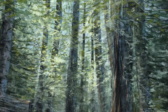 AG_FORET_003