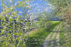 AG_CAMPAGNE_018