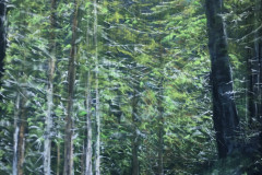 AG_FORET_010
