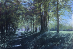 AG_GAL_FORET_022