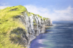 AG_MER_005