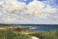 AG_MER_009