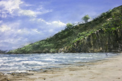 AG_MER_011