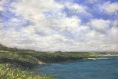 AG_MER_014