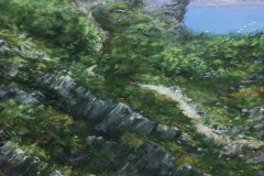 AG_MER_019