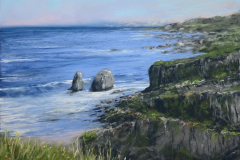 AG_MER_025