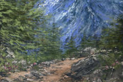 AG_MONTAGNE_003
