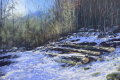 AG_MONTAGNE_007