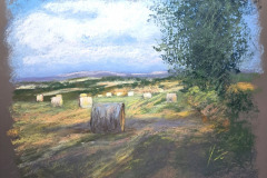 1_PG-CAM1