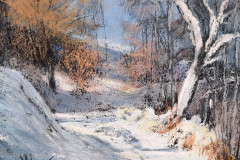1_PG_GAL_CAMPAGNE_033