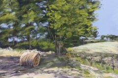 PG_CAMPAGNE_007