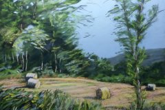 PG_CAMPAGNE_008