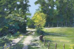PG_CAMPAGNE_013