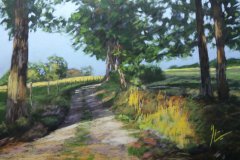 PG_CAMPAGNE_015