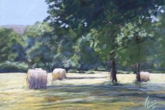 PG_CAMPAGNE_016