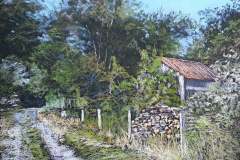 PG_CAMPAGNE_019