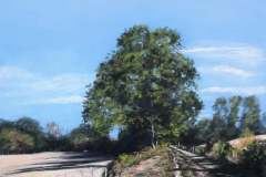 PG_CAMPAGNE_020