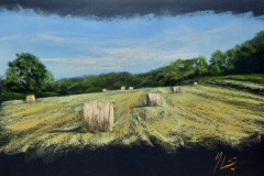 PG_CAMPAGNE_034