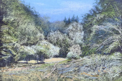 PG_GAL_CAMPAGNE_031
