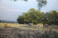 PG_GAL_CAMPAGNE_033