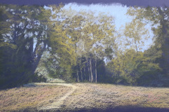 PG_GAL_CAMPAGNE_034