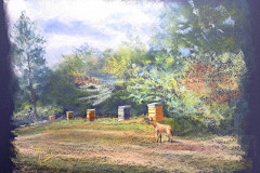 RUCHES-PASTEL