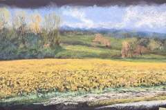 pastel-colza