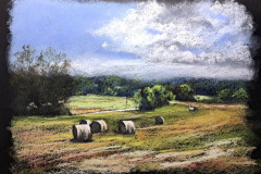 plaine-meules