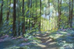 PG_FORET_001