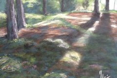 PG_FORET_003