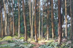 PG_FORET_005