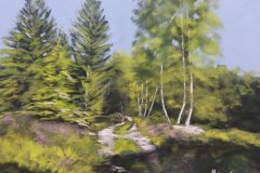 PG_FORET_006