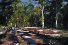 PG_FORET_007
