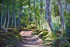 PG_FORET_008