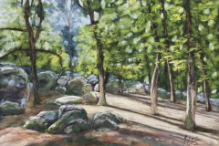 PG_FORET_011