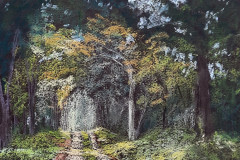 PG_FORET_018