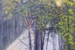 PG_FORET_019